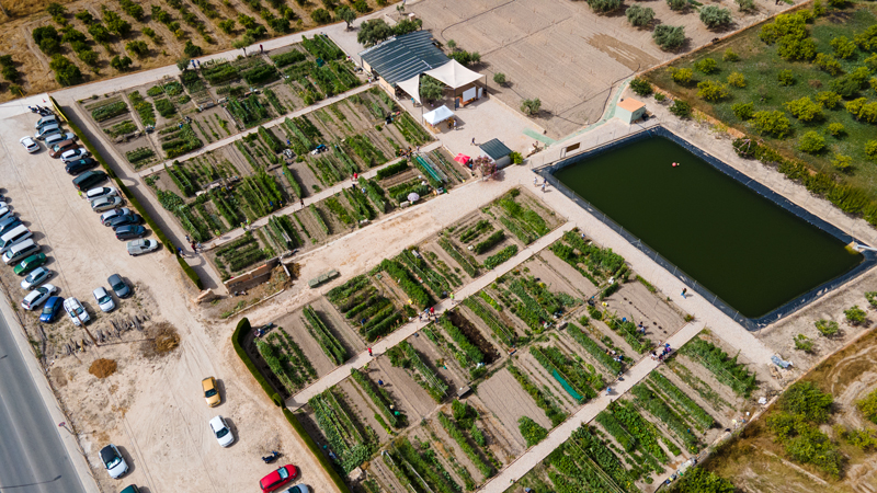 Fotografía dron